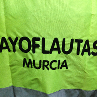 Yayoflautas Murcia (@yayoflautasmur) 's Twitter Profile
