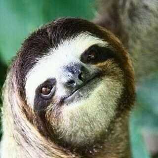 ovejerini's profile picture. Profetizando sobre una vida sana, llena de risas y cachondeo en todas sus formas....
Que bien eh?!?!