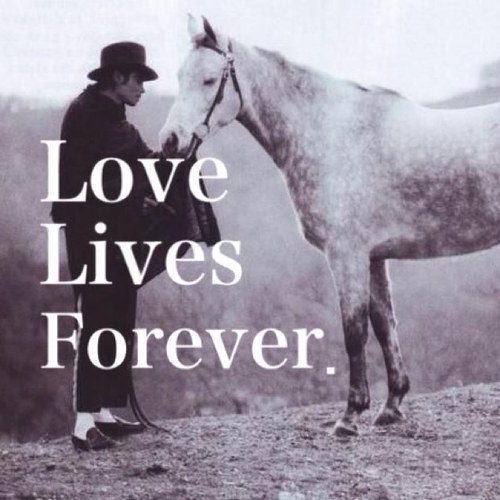 I ♡ Michael Jackson!/1D/Katy/Gaga/Taylor/Ke$ha/JB/Rihanna/Madonna/Bruno...洋楽大好き！特にマイケル大好き！♡♡♡ Feel free to talk with me :')
 PLEASE FOLLOW ME!!!