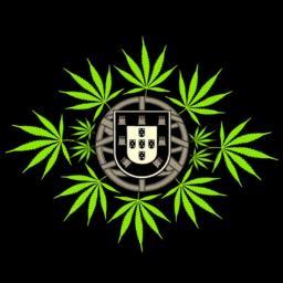 MrBudGreen's profile picture. Comunidade Cannábica Portuguesa
Cannabis Activist / Portugal & Worldwide