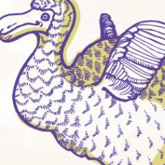 thehappydodo's profile picture. The Flying Dodo has gone into hibernation but you can still follow Michelle's health & happiness tweets @FuturesMichelle