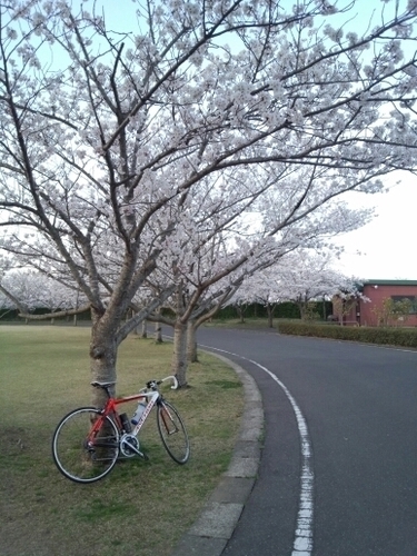 40歳。成田住み。趣味はロードバイクとゴルフ(2021.7〜)、バイク(2024.9〜)愛車は、ANCHORのRHM9とRMZ、バイクはZX25R、v4sp(2025.2月納車)
