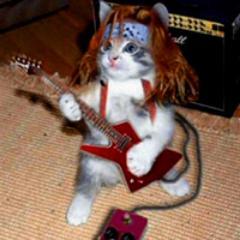 Svyaga's profile picture. 🇷🇺/🇬🇧 Gamedev QA / EX DBFZ player. Waiting for Marvel Tokon (with caution).