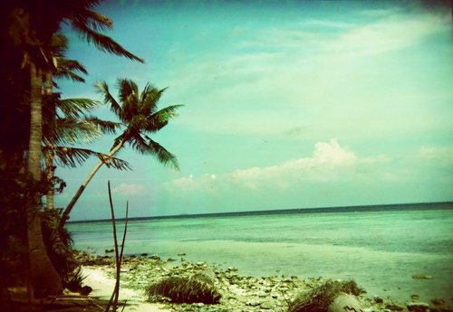 21+ Beach Quotes Twitter