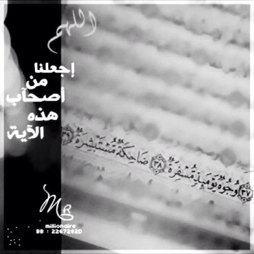 خريجه علوم سياسيه ..
