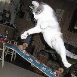 skytools's profile picture. LOST IN TRANSLATION and in the mean time crazy for surfing, bodyboarding and skate around :)