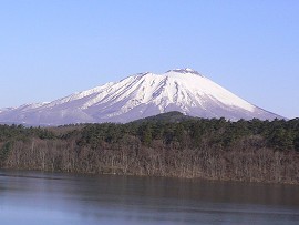 m_matsuhara's profile picture. 