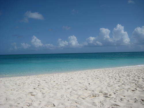 DanielSalzman's profile picture. 