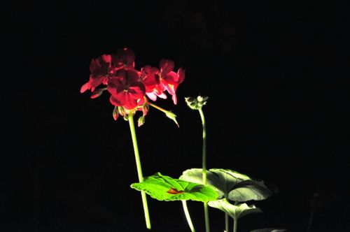 ShiXiaoxin's profile picture. 