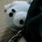 まーちゃんのアイコン