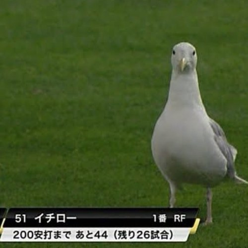 森匠さんのプロフィール画像