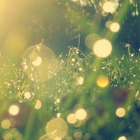 임빛 (@limlight144) 's Twitter Profile