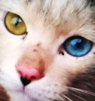 No마드.さんのプロフィール画像