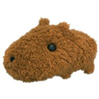 capybara-san(@kanazawacho) 's Twitter Profile Photo
