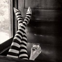 tillymoonlight's profile picture. Dobro znam da cutim,ali samo ponekad!
 https://t.co/vzCJeB4CM7…