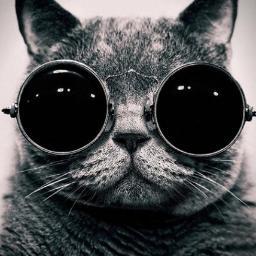 lenryzhkov's profile picture. 