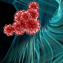Interdisciplinary Physics, Advanced Materials & Nanoscale Sciences and Technologies