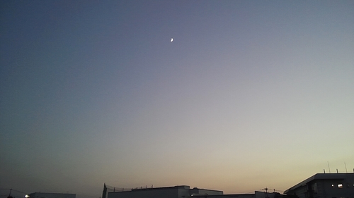 いつかこれでよかったんだって思える日がきますように