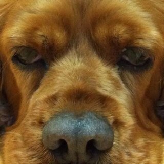 5가지를 안합니다. 양주를먹지않고/향수를 뿌리지 않으며/골프를 치지 않습니다/험담을 안하며/노동을 두려워하는 자를 가까이 하지 않습니다/이벤트기획자/행복한 저주를 받은 사람입니다/종교: 카톨릭냉담자.