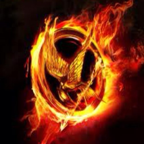 I LOVE THE HUNGER GAMES
