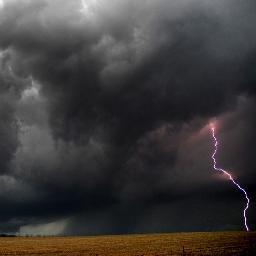 LarryStorm2k12's profile picture. 