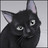 lorodafomod's profile image
