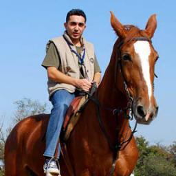 metanel's profile picture. 