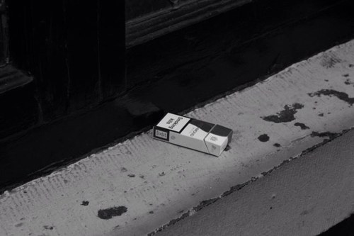 kiwii8319's profile picture. 