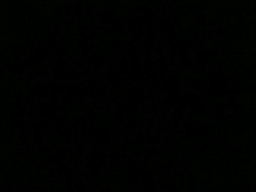 WesleyIsDeNaam's profile picture. follow insta: WesleyVlissingen