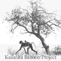 Kasanka Baboon Project