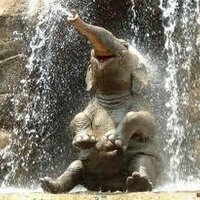 zeyadbilleh (@zeyadbilleh) 's Twitter Profile