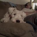 Leslie Friedel - @MtCoconut - Twitter