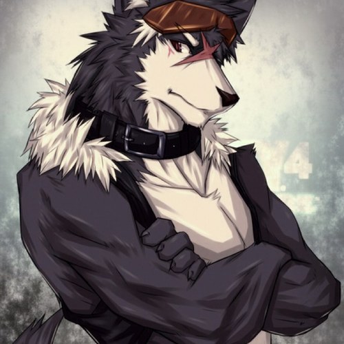 Nathan_RPwolf's profile picture. Hello, I'm Nathan... A 17 year old wolf... That works for a secret Agentcy... I live alone and i'm a lone wolf a.k.a single. I'll protect anyone.. In Danger....