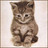 rovaviguxo's profile image