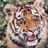 hyzuzavadu's profile image