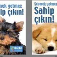 Haçiko Derneği (@hacikodernegi) Twitter profile photo