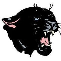 Knightstown Panthers (@ktownbasketball) 's Twitter Profile
