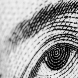 KKKKosalll's profile picture. KASUMI CURRY/NEKURAFOTONS/OASIS/COSMAS180/Seiko-Udoku no Kai/Tau-Tawan/sotto voce/Metaphysical Biology@国際信州学院大学大学院