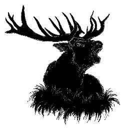 2bsick's profile picture. music, mind & style. Impressum: http://t.co/MfeT5VXM