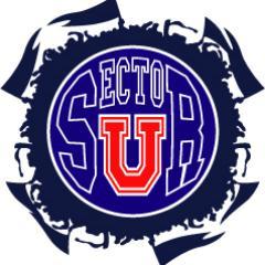 Sector Sur nace hace 5 Años en lo que fue una prueba de independencia para un Hincha Azul; Juan Pablo Iter.