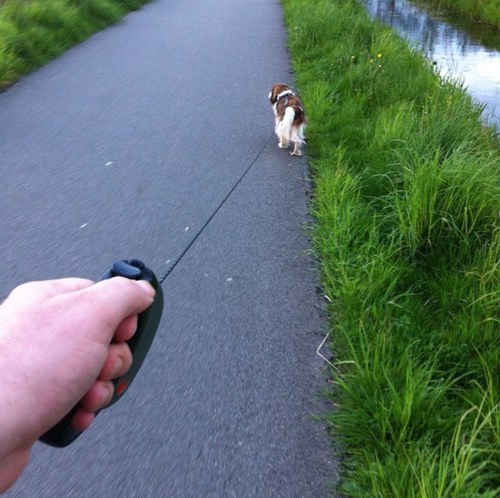 Not all those who wander are lost