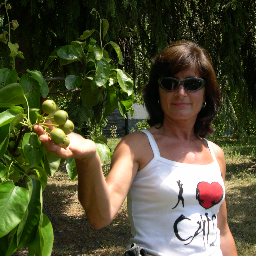 Coltivo rose da sciroppo e frutta senza concimi e trattamenti chimici, nel Parco Antola, produco confetture e sciroppi di rose, viole, frutta, senza conservanti