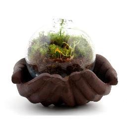 Twig Terrariums creates moss terrariums and other small worlds. We specialize in easily maintained, easily contained, life. From Brooklyn, NYC!