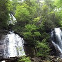 Olga - @olga_dub - Twitter