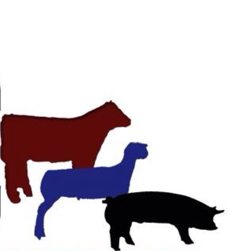 judgingqueens's profile picture. 