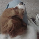 john stock - @sobra18 - Twitter