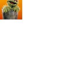 i am casey AKA Deepwoodskentuckian on youtube i review beer and spirts on there,  I am an avid youtuber http://t.co/M0H201Mf my chanel link