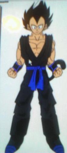 im a full blooded saiyan, im 19 and im always willing to talk,i never give up so fight me i dare you! #RP #dating @Rin_DBZ pokemon @angel_pikagirl