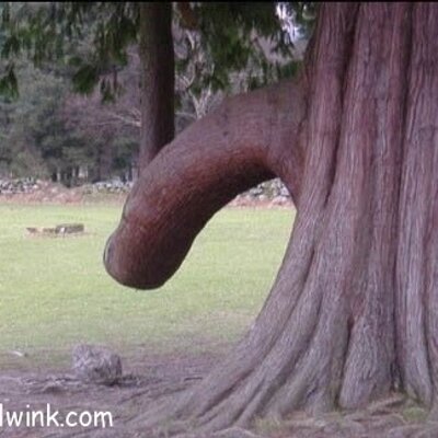 dickpick dickpick