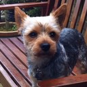 carla rees-fisher - @curly19792807 - Twitter